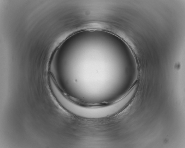 X0000090871477200708101323