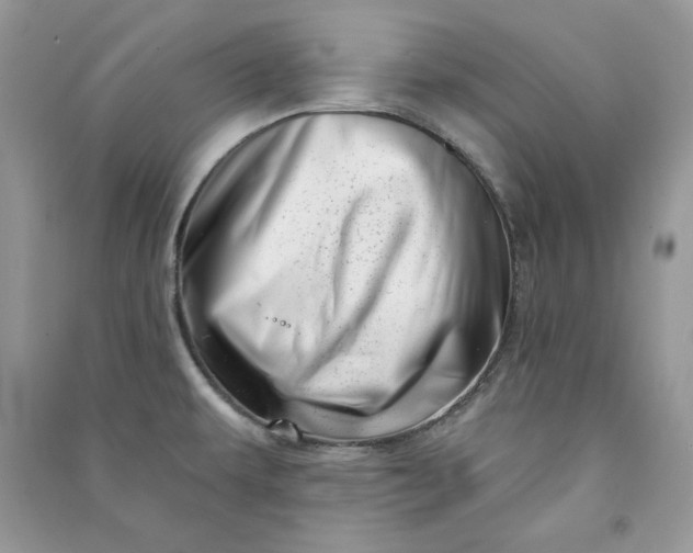 X0000090871479200708101323