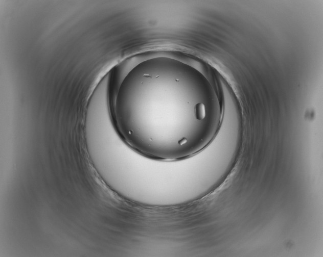 X0000090871481200708101323