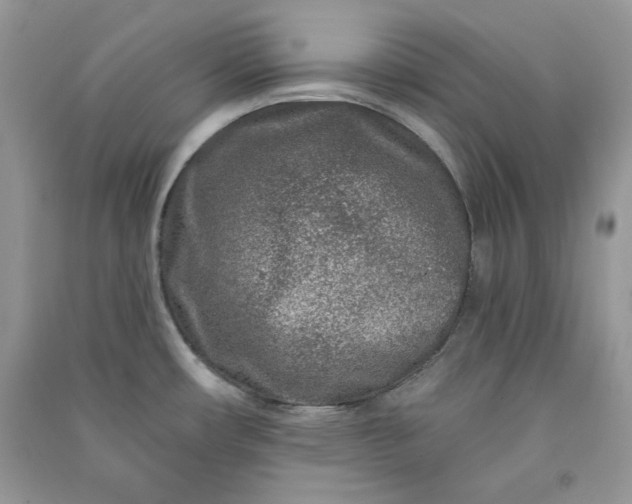 X0000090871482200708101323