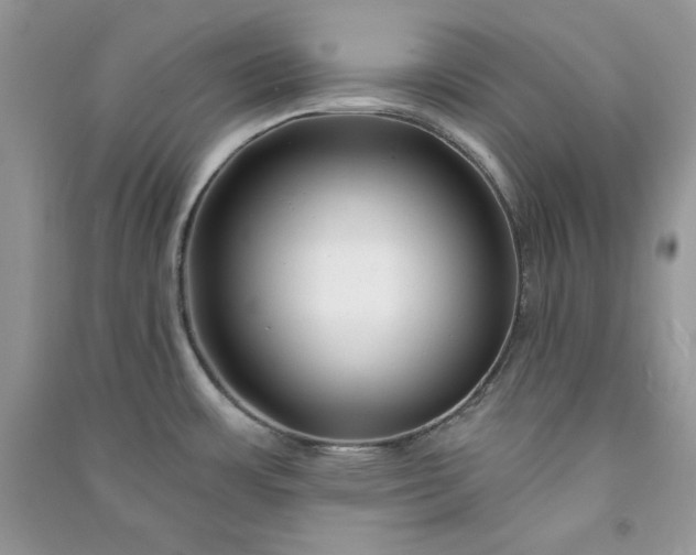 X0000090871483200708101323