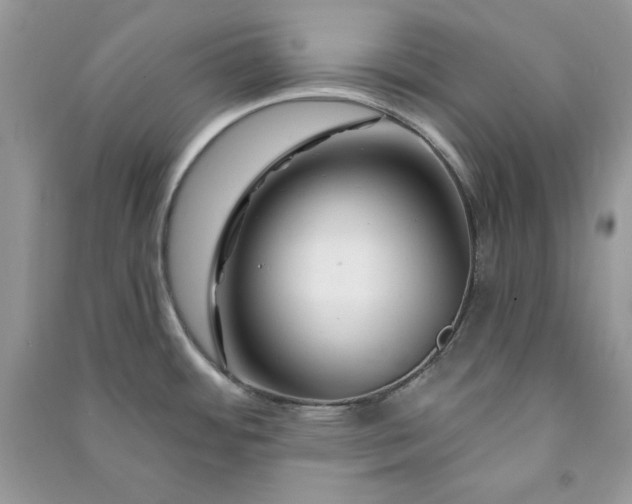 X0000090871484200708101323