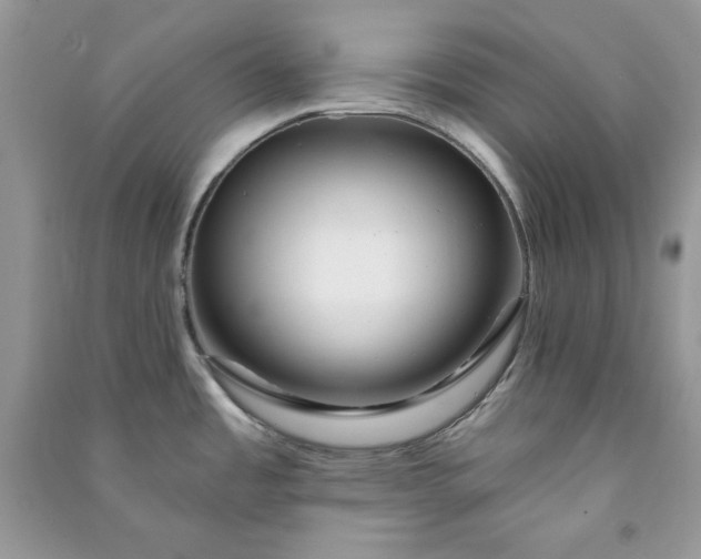 X0000090871485200708101323