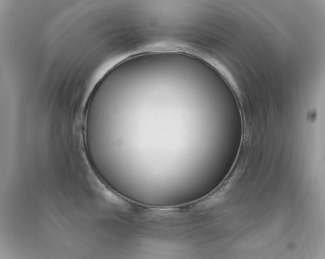 X0000090871486200708101323