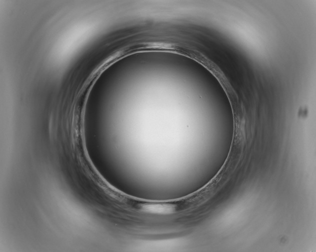 X0000090871487200708101323