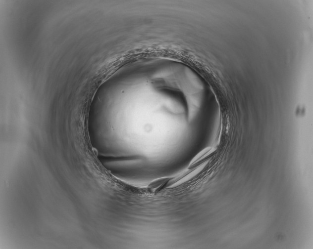 X0000090871489200708101322