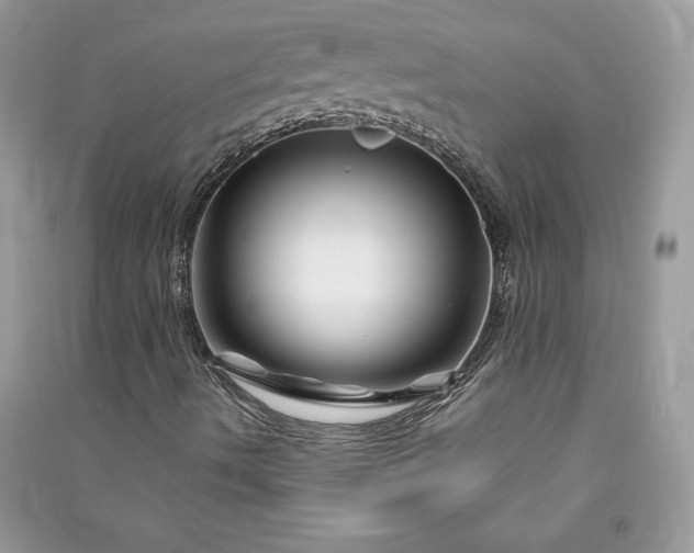 X0000090871490200708101322