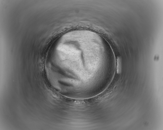 X0000090871491200708101322