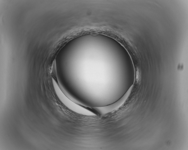 X0000090871492200708101322