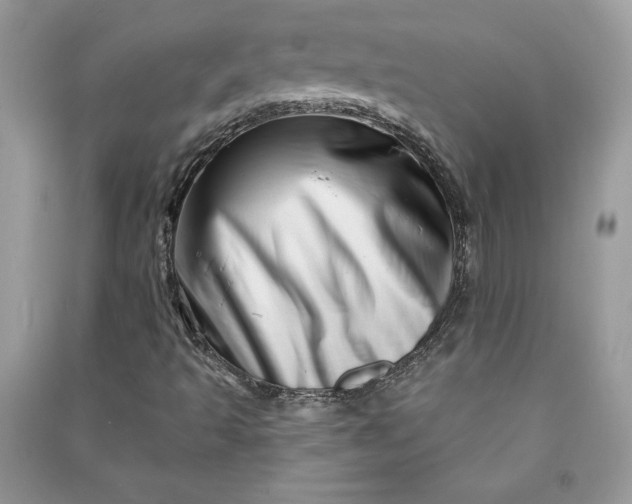 X0000090871493200708101322