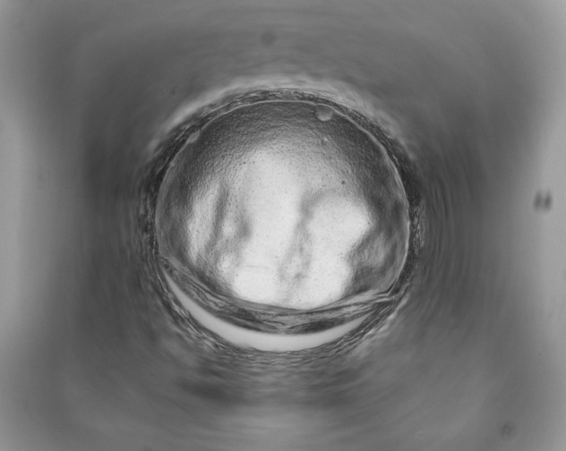 X0000090871494200708101322