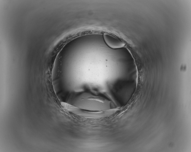 X0000090871495200708101322