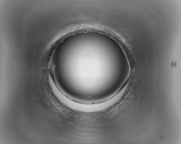 X0000090871496200708101322