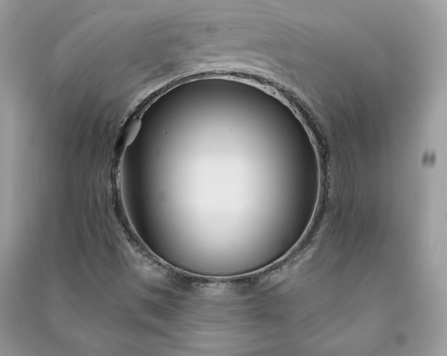 X0000090871497200708101323