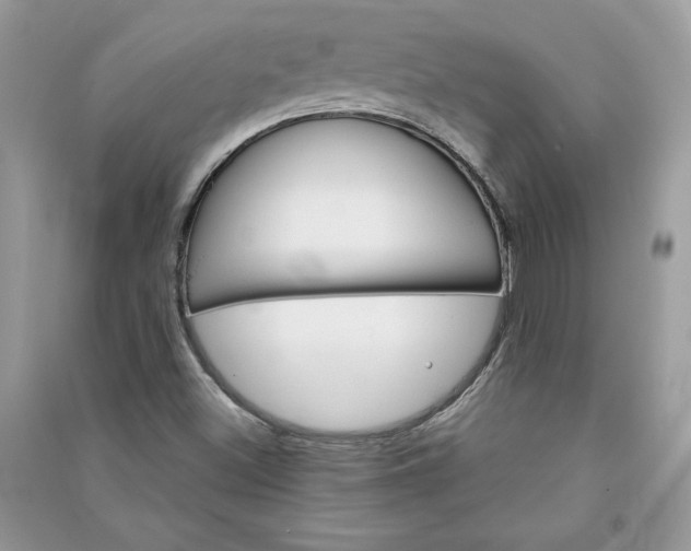 X0000090871500200708101323