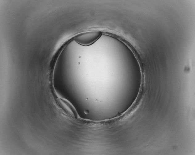 X0000090871501200708101323