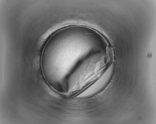 X0000090871503200708101323