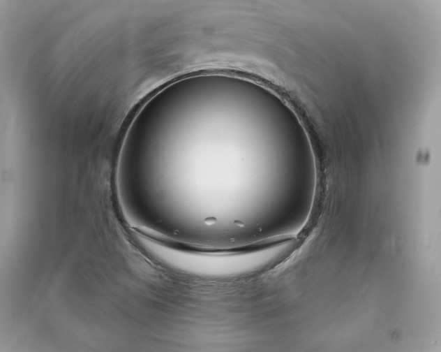 X0000090871505200708101323