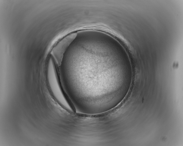 X0000090871506200708101323