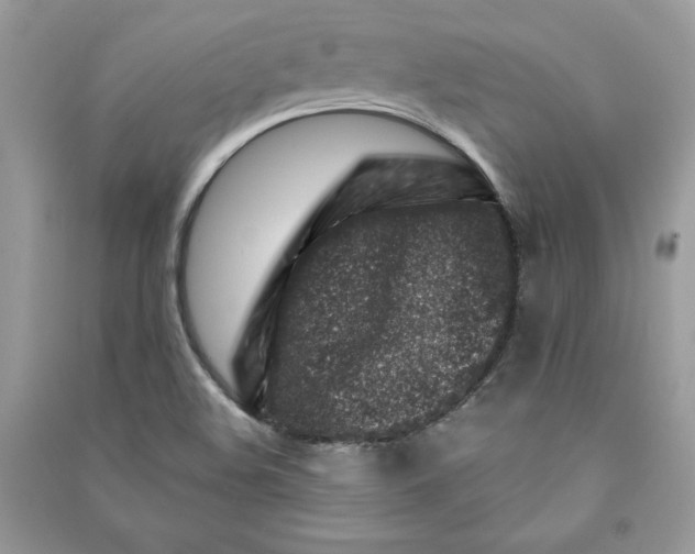 X0000090871508200708101323