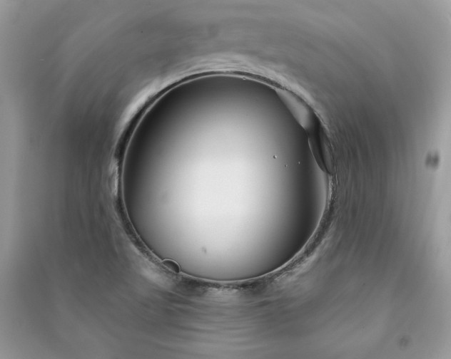 X0000090871509200708101323