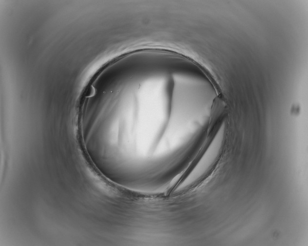 X0000090871511200708101323