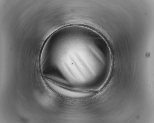 X0000090871513200708101323