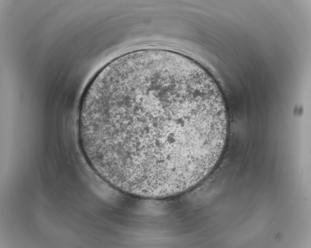 X0000090871514200708101323