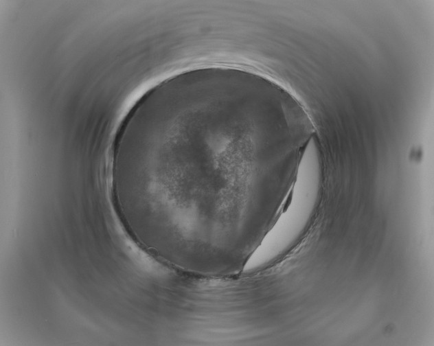 X0000090871515200708101323