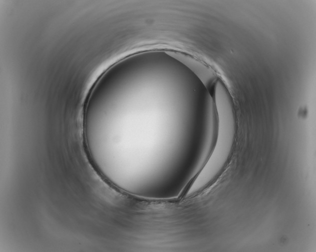 X0000090871516200708101323