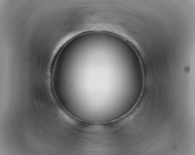 X0000090871517200708101323