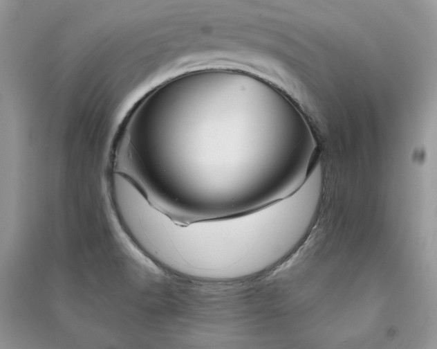 X0000090871518200708101323