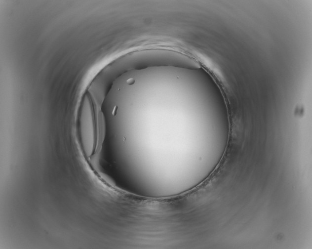 X0000090871520200708101323