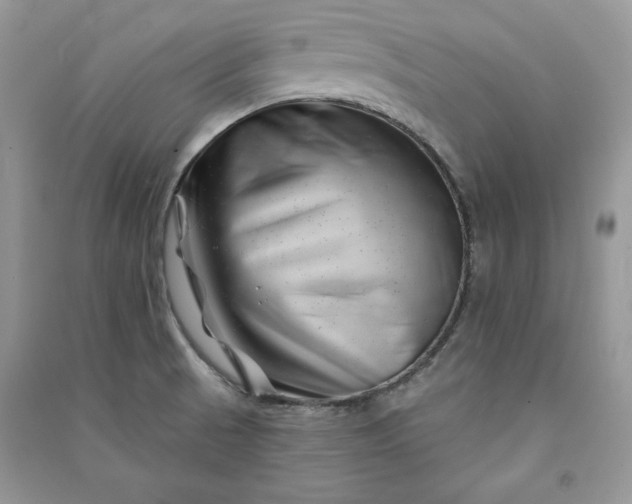 X0000090871521200708101323