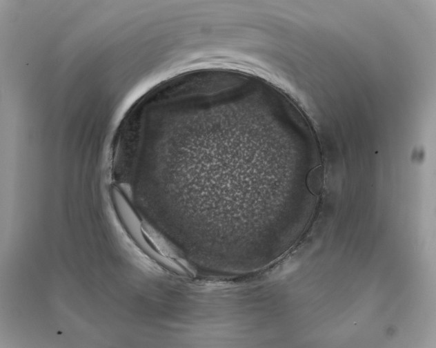 X0000090871522200708101323