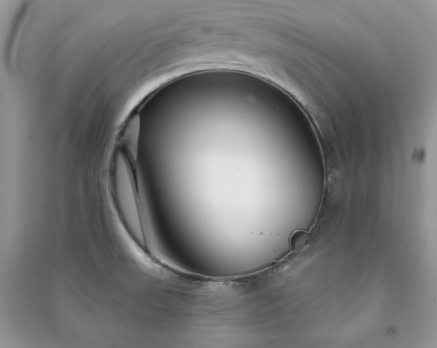 X0000090871523200708101323