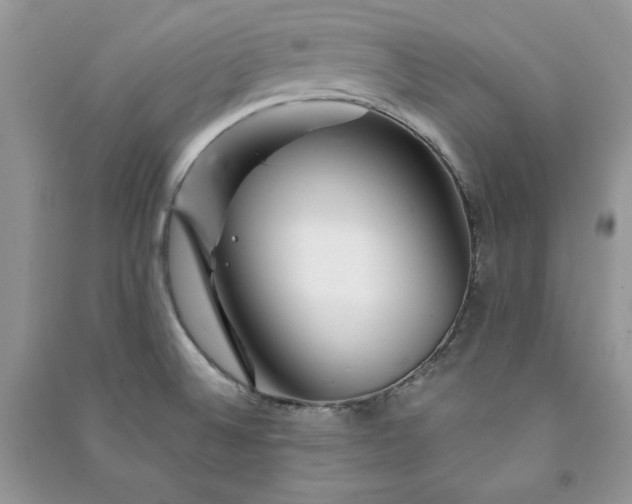 X0000090871524200708101323