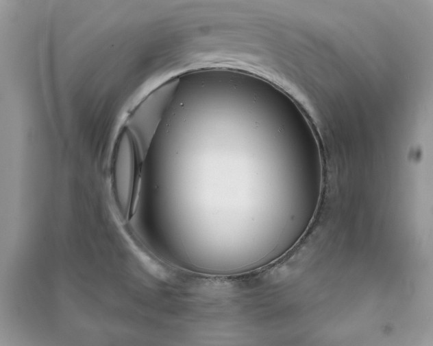 X0000090871525200708101323