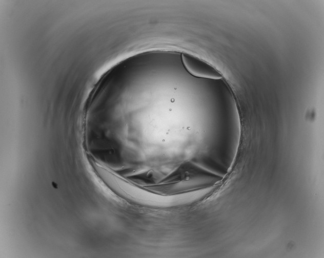 X0000090871526200708101323