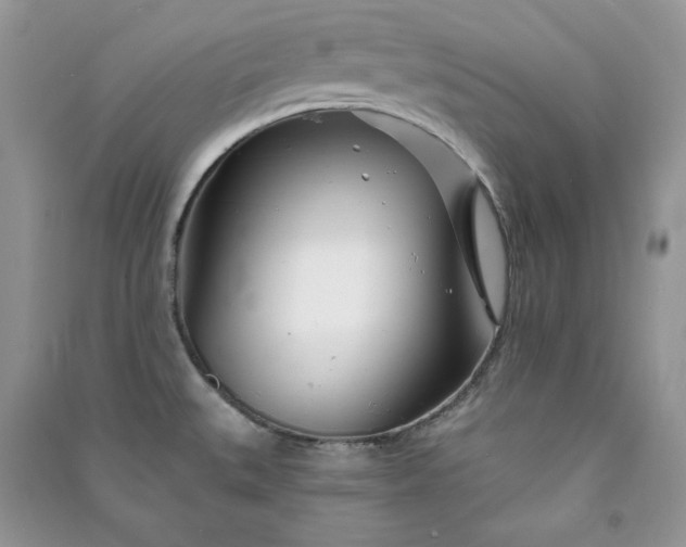 X0000090871527200708101323