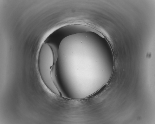 X0000090871528200708101323