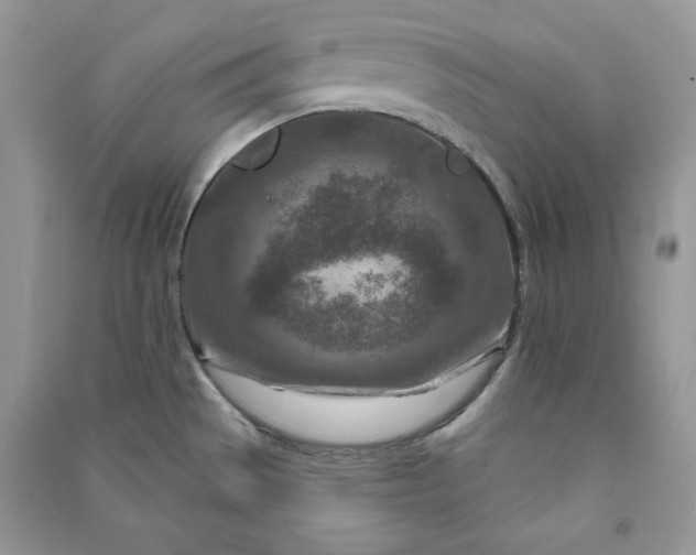 X0000090871529200708101323