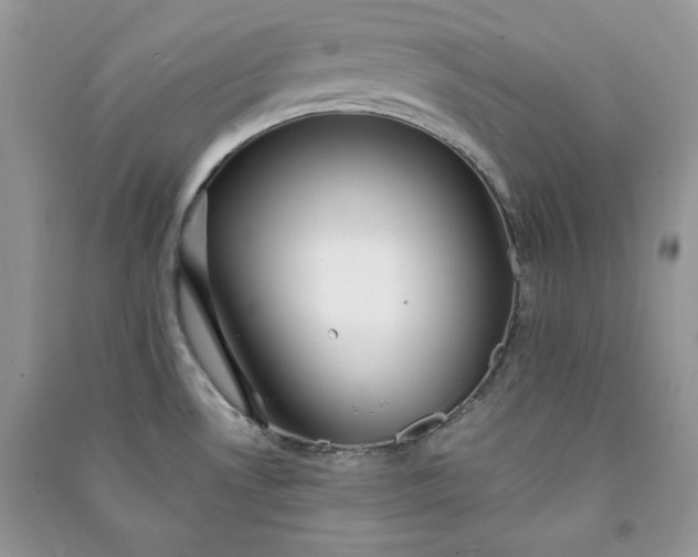 X0000090871530200708101323