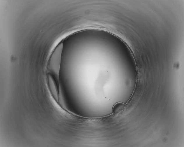 X0000090871531200708101323