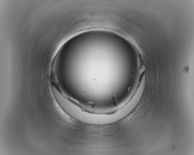 X0000090871532200708101323