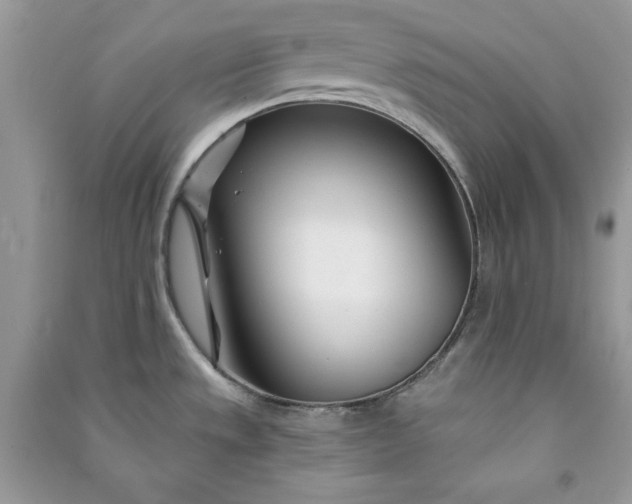 X0000090871533200708101323