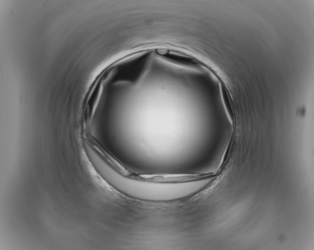 X0000090871534200708101323