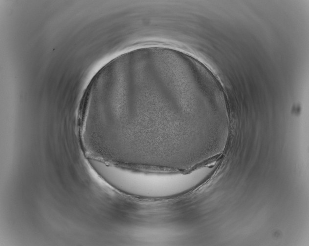 X0000090871535200708101323