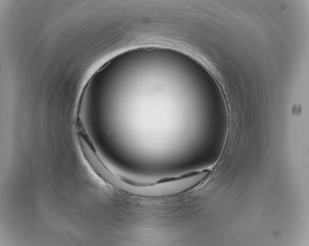 X0000090871536200708101323