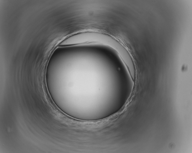 X0000090870001200708171635